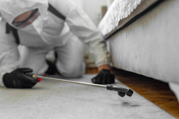 Professional Bed Bug Control technician working in Ogdensburg, NY